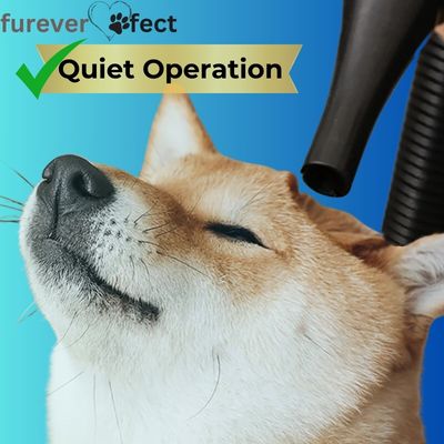 FurBreeze Pet Hair Dryer