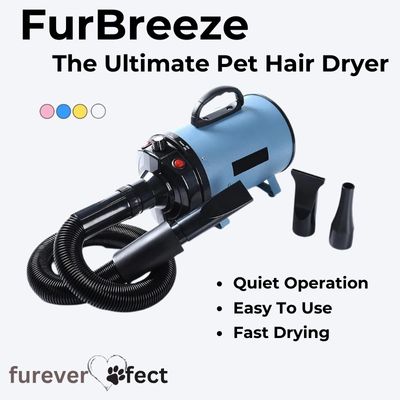 FurBreeze Pet Hair Dryer